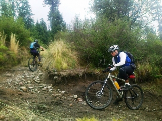 desierto de los leones